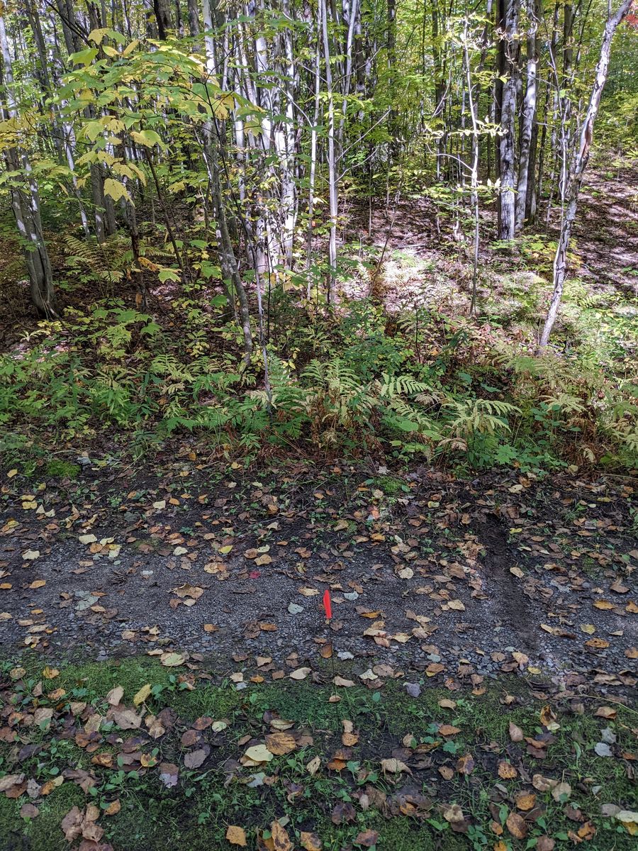 Antes de la renovación de un proyecto de tipo Paisajismo cerca de Trois-Rivières (Mauricie) por JOEL