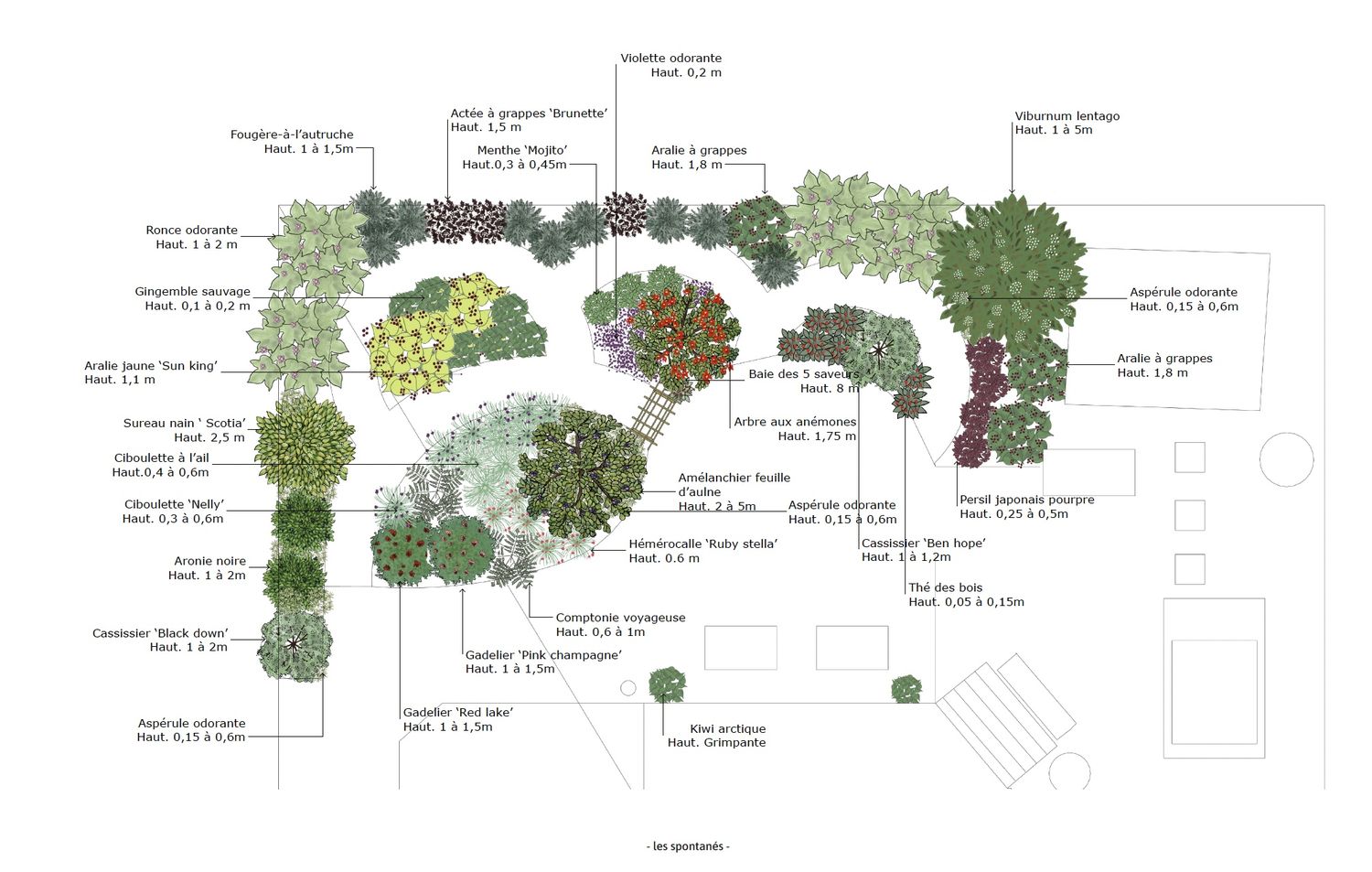 Landscaping Plan from a Landscaping project near Saint-Jean-sur-Richelieu (Montérégie) by les spontanés
