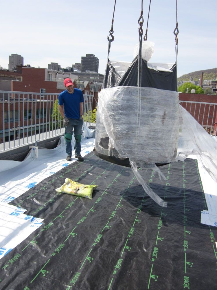 Toit et entretoit d'un projet de Agriculture urbaine près de Montréal/Laval/Longueuil (Grand Montréal) de La Ligne Verte : Toit vert inc.