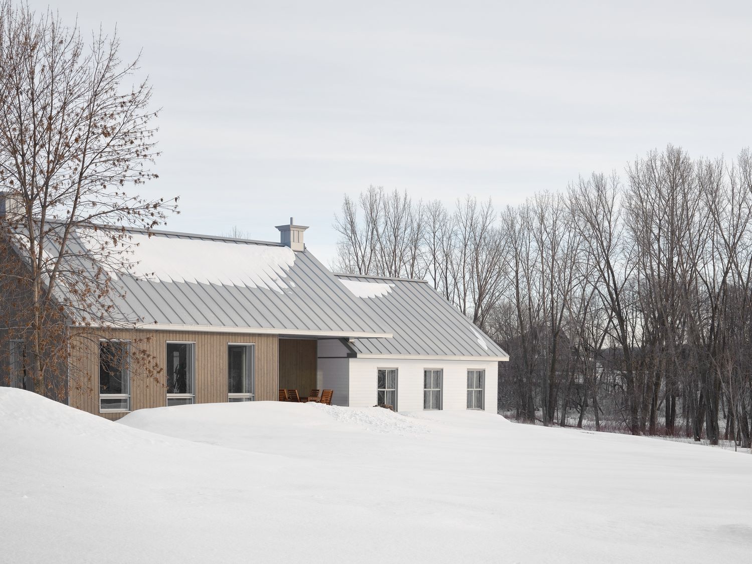 Cour arrière d'un projet de Maisons unifamiliales près de Montréal/Laval/Longueuil (Grand Montréal) de Écorce architecture écologique