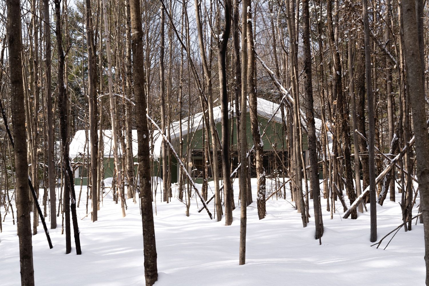 Patio trasero de un proyecto de tipo Viviendas unifamiliares cerca de Saint-Jérôme (Laurentides) por Atelier L'Abri