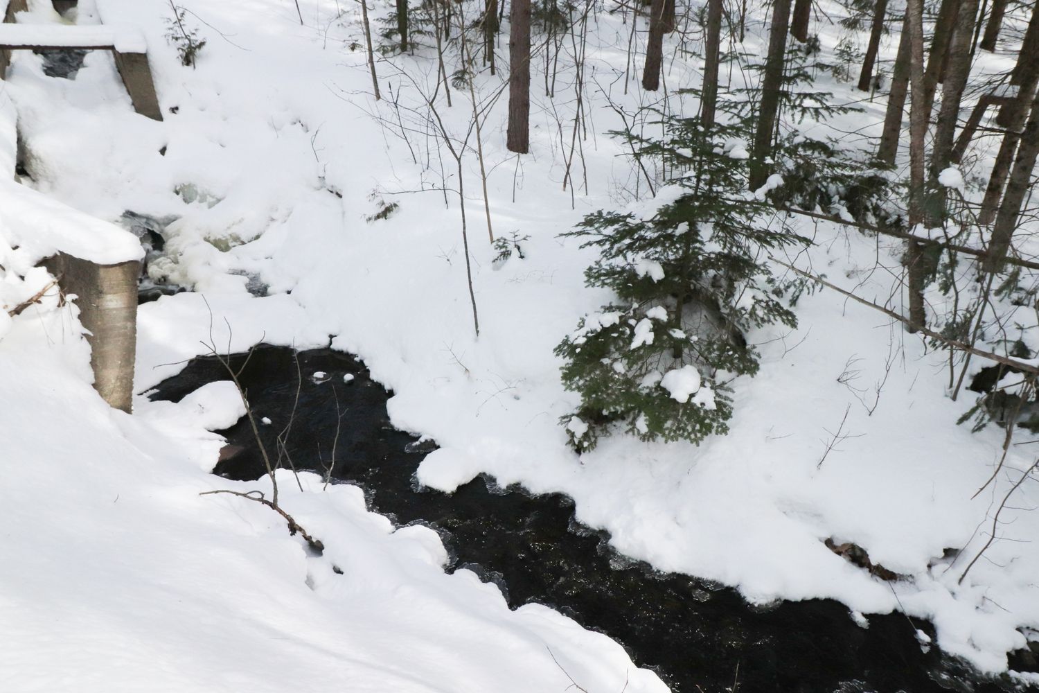 Vue aérienne d'un projet de Maisons unifamiliales près de Sherbrooke (Estrie) de Claire Derome • courtière en immobilier résidentiel
