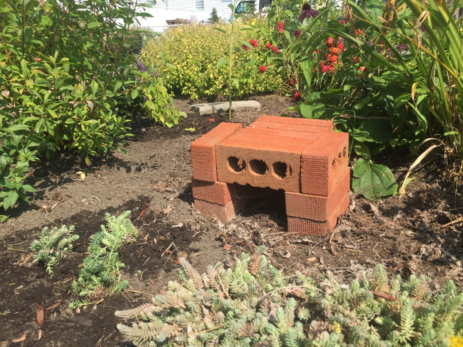 Jardin potager d'un projet de Aménagement du territoire rural et régional près de Joliette (Lanaudière) de Paysage imaginaire