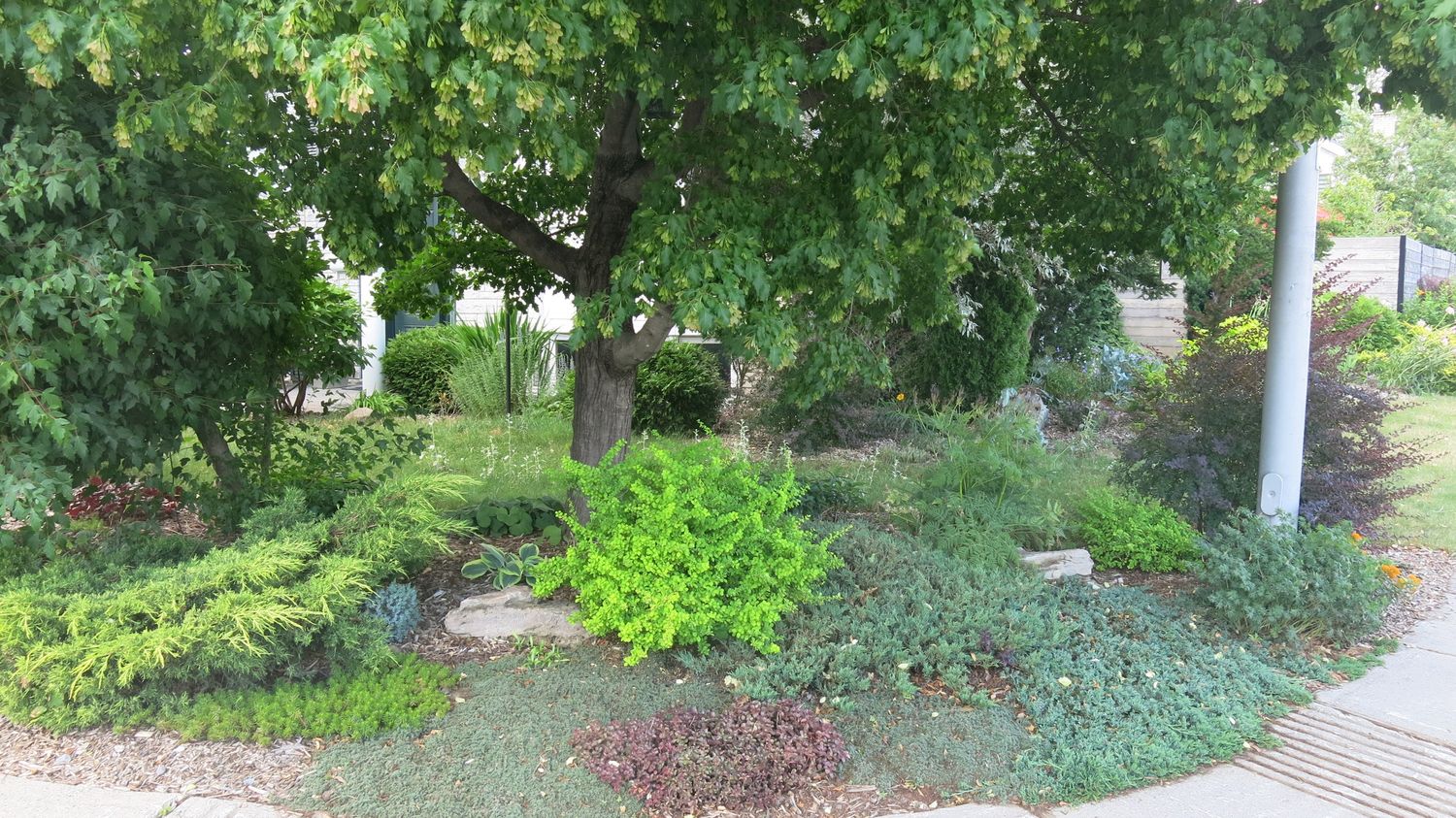 Cour avant d'un projet de Aménagement paysager près de Montréal/Laval/Longueuil (Grand Montréal) de Paysage gourmand