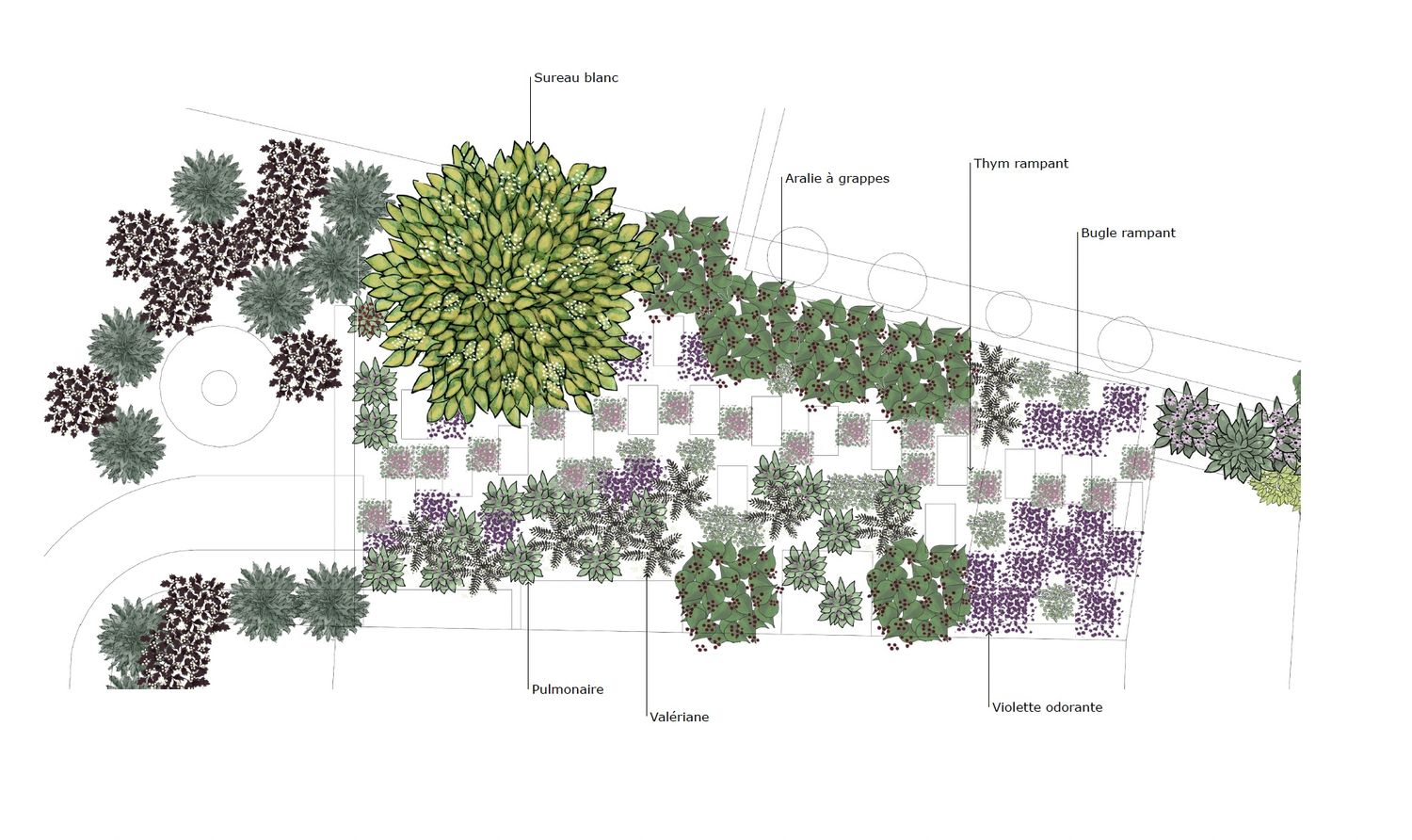 Landscaping Plan from a Landscaping project near Saint-Jean-sur-Richelieu (Montérégie) by les spontanés