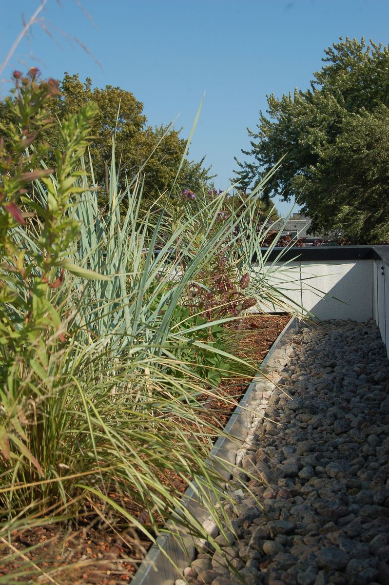 Jardin potager d'un projet de Toitures végétalisées près de Montréal/Laval/Longueuil (Grand Montréal) de La Ligne Verte : Toit vert inc.