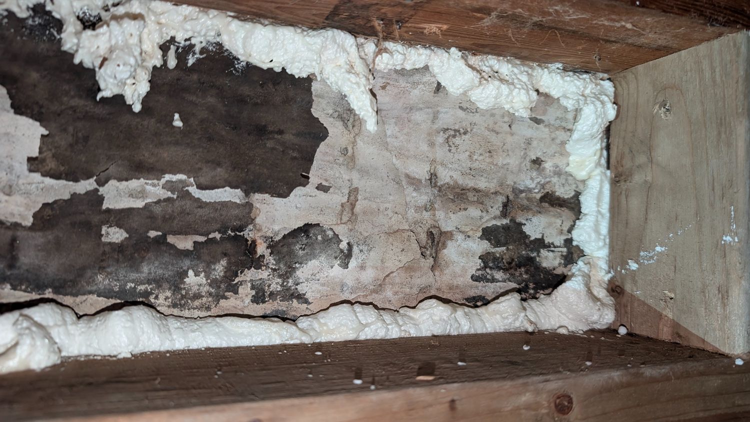 Foundations & Crawlspaces from a Crawlspaces project near Vancouver (Greater Vancouver) by Better Call Bob