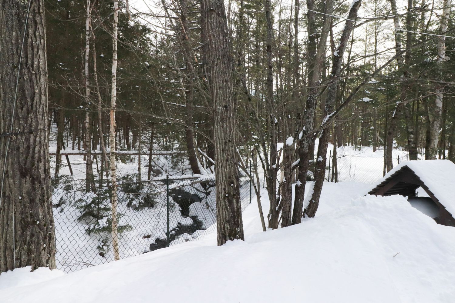 Cour avant d'un projet de Maisons unifamiliales près de Sherbrooke (Estrie) de Claire Derome • courtière en immobilier résidentiel