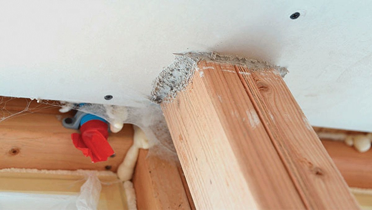 Wall Construction from a Air sealing project near Toronto (Greater Toronto) by Air Sealing Professionals