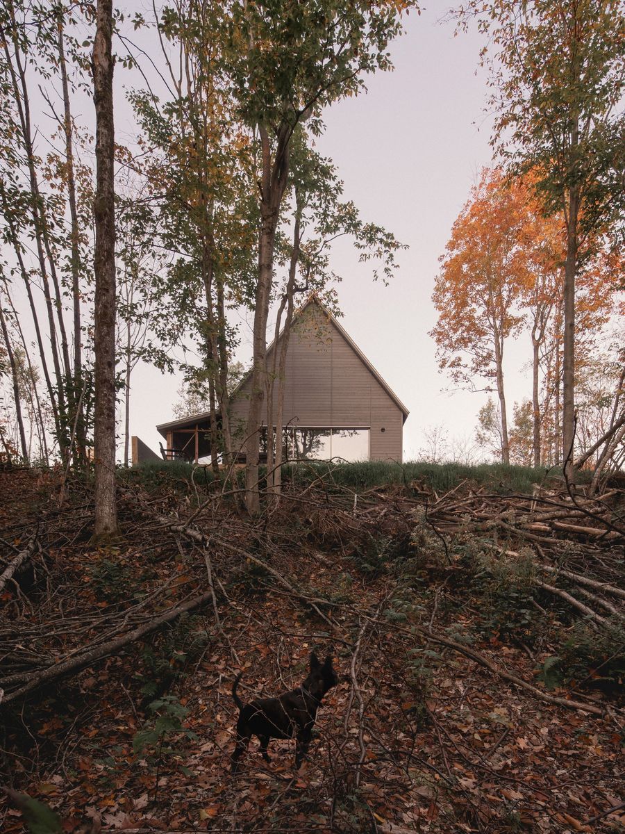 Cour arrière d'un projet de Mini et micro-maisons près de Saint-Jérôme/Blainville (Laurentides) de Atelier L'Abri