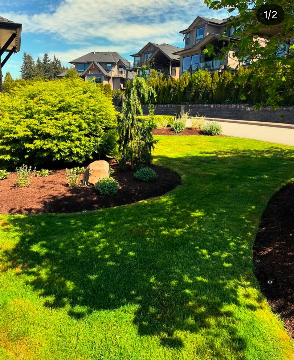 Front Yard from a Hedges project near Vancouver (Greater Vancouver) by Aurora Landscaping