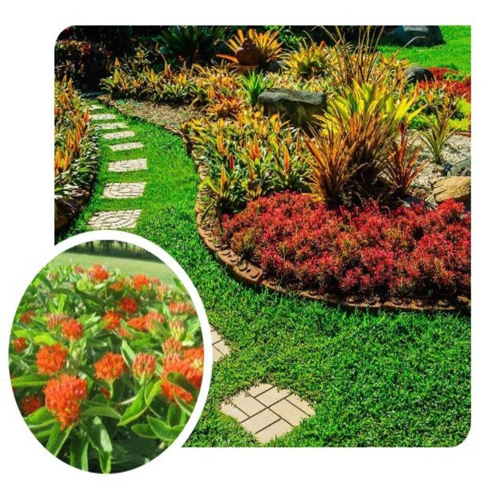 Garden from a Landscaping project near Little Rock by Little Rock Lawns