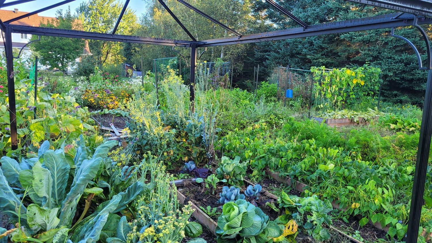 Garden from a Vegetable Garden project near Quebec City - Levis by AgroME-Consultant