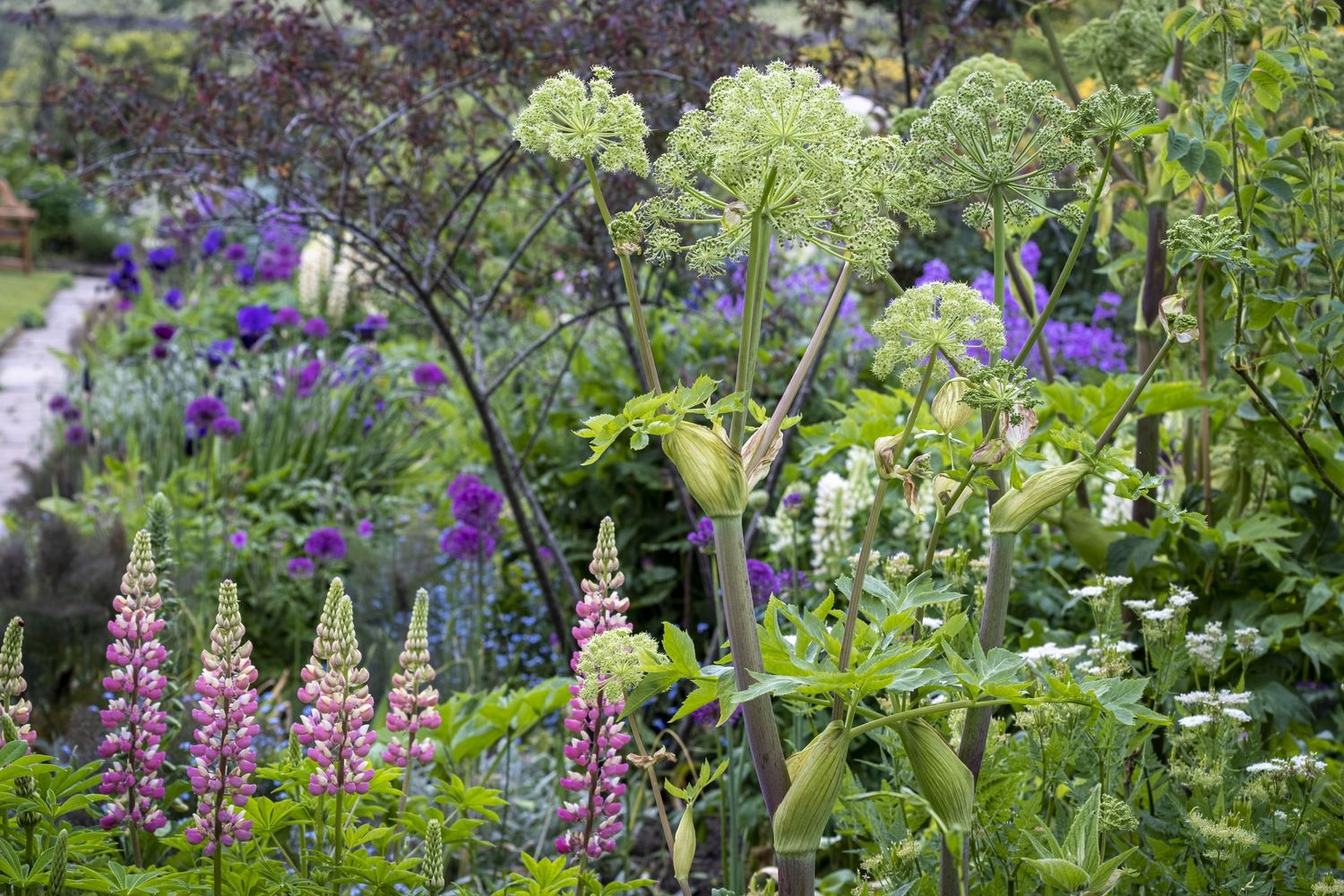 Parterre de un proyecto de tipo Paisajismo cerca de Montreal (Gran Montreal) por les spontanés