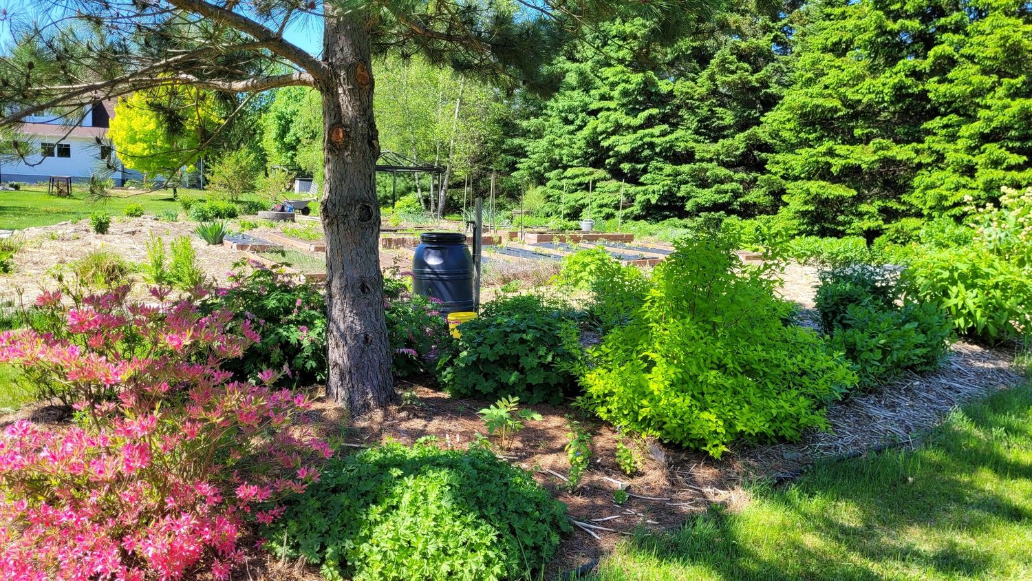 Jardin potager d'un projet de Aménagement paysager près de Québec/Lévis (Ville de Québec) de AgroME-Consultant