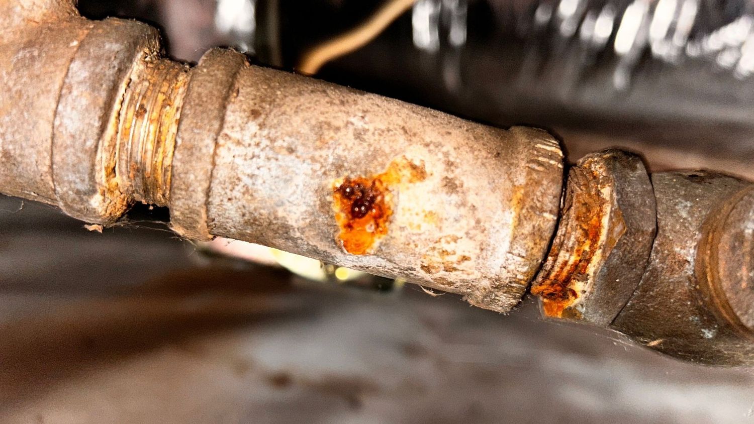  from a Water leaks project near Charlotte by Option One Plumbing
