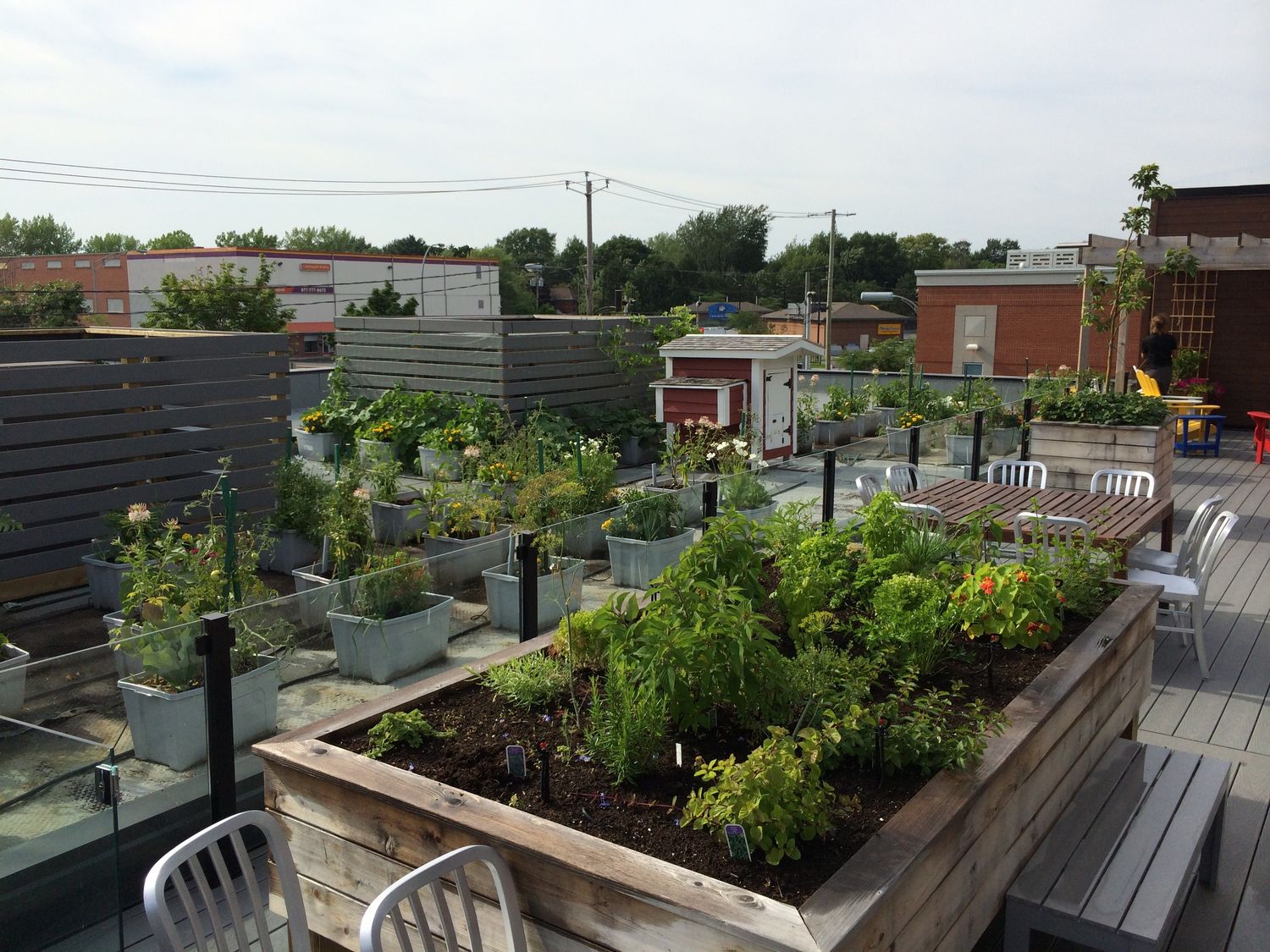 Jardin potager d'un projet de Agriculture urbaine près de Montréal/Laval/Longueuil (Grand Montréal) de La Ligne Verte : Toit vert inc.