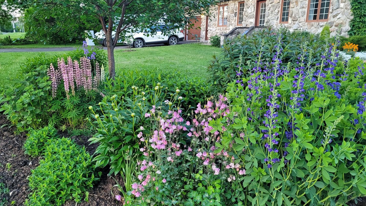 Flower bed from a Landscaping project near Quebec City - Levis by AgroME-Consultant