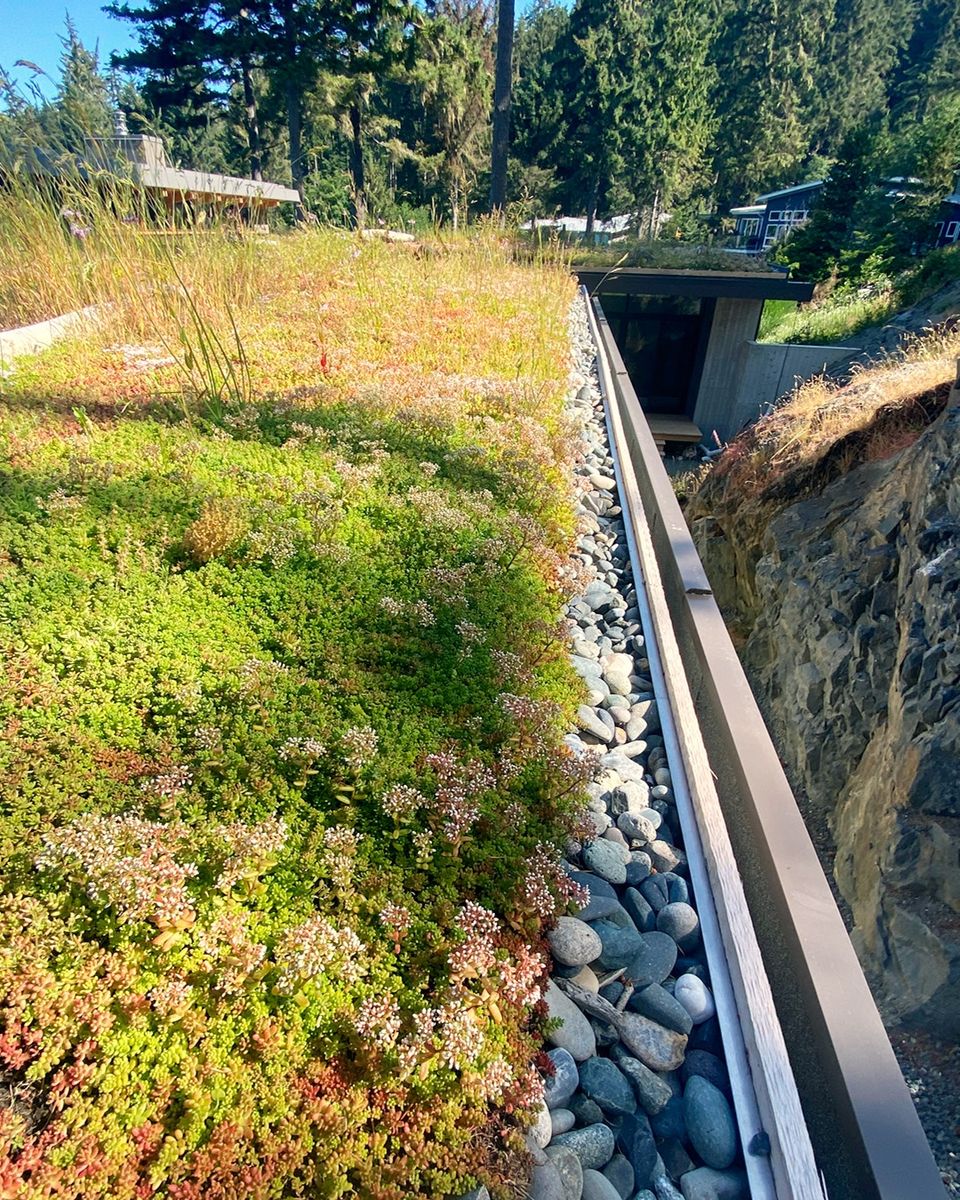  de un proyecto de tipo Viviendas unifamiliares cerca de Victoria por Greenway Studio Architecture