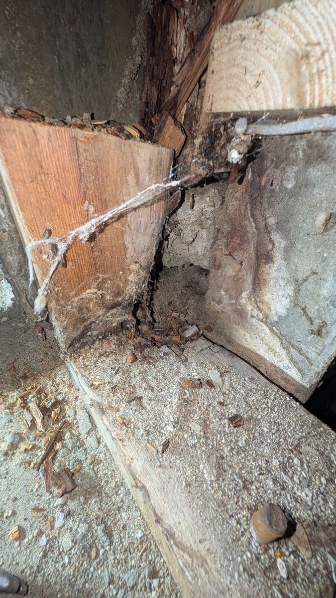 Foundations & Crawlspaces from a Crawlspaces project near Vancouver (Greater Vancouver) by Better Call Bob