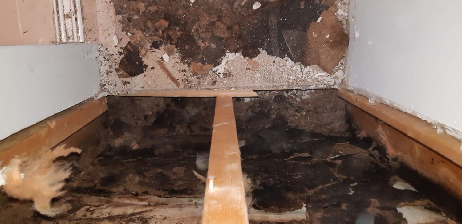Before Starting Renovations from a Building Structures project near Montreal (Greater Montreal) by Construction patco