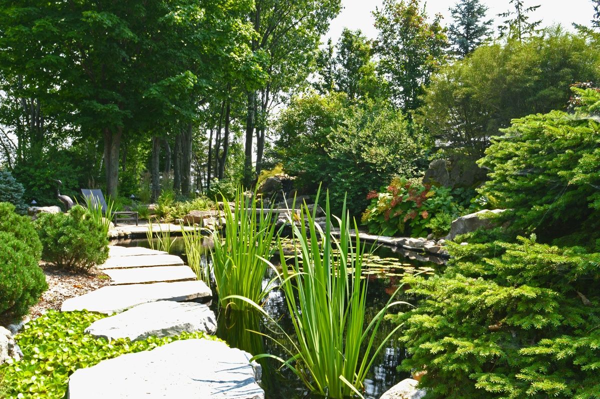 Pool & Natural Pond from a Garden ponds project near Quebec City - Levis by Repères