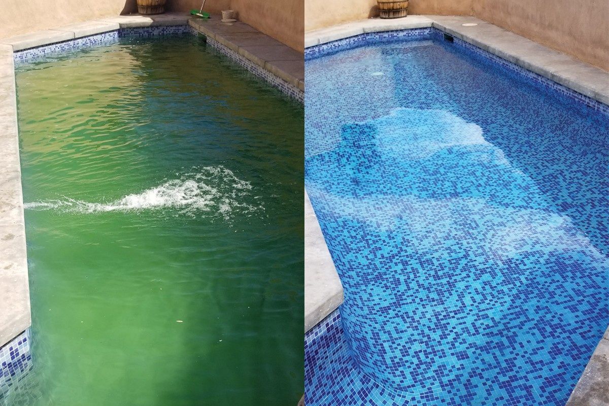 Piscina y estanque natural de un proyecto de tipo Piscinas naturales cerca de Los Ángeles - Long Beach - Anaheim por Serene Pools