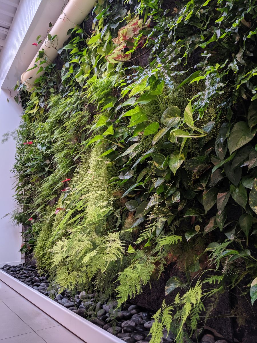Comedor de un proyecto de tipo Muros verdes cerca de Montreal (Gran Montreal) por La Ligne Verte : Toit vert inc.