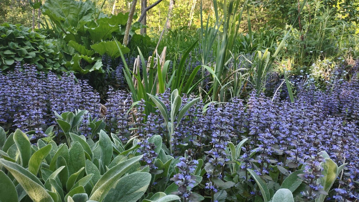 Garden from a Exterior Plants & Horticulture project near Granby - Bromont - Cowansville by Melissa Langlois - Design paysager