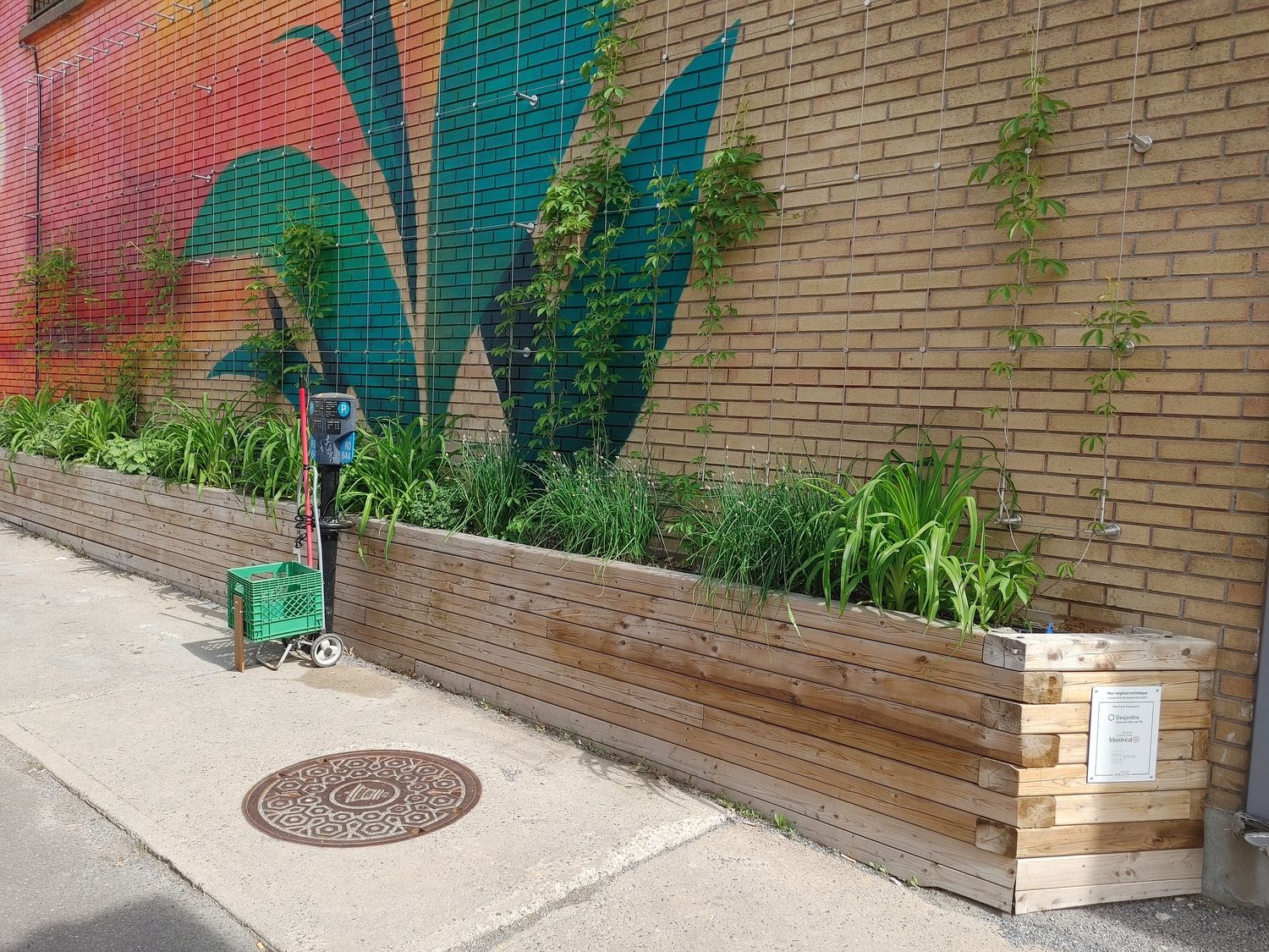 Plate-bande d'un projet de Murs végétaux près de Montréal/Laval/Longueuil (Grand Montréal) de La Ligne Verte : Toit vert inc.