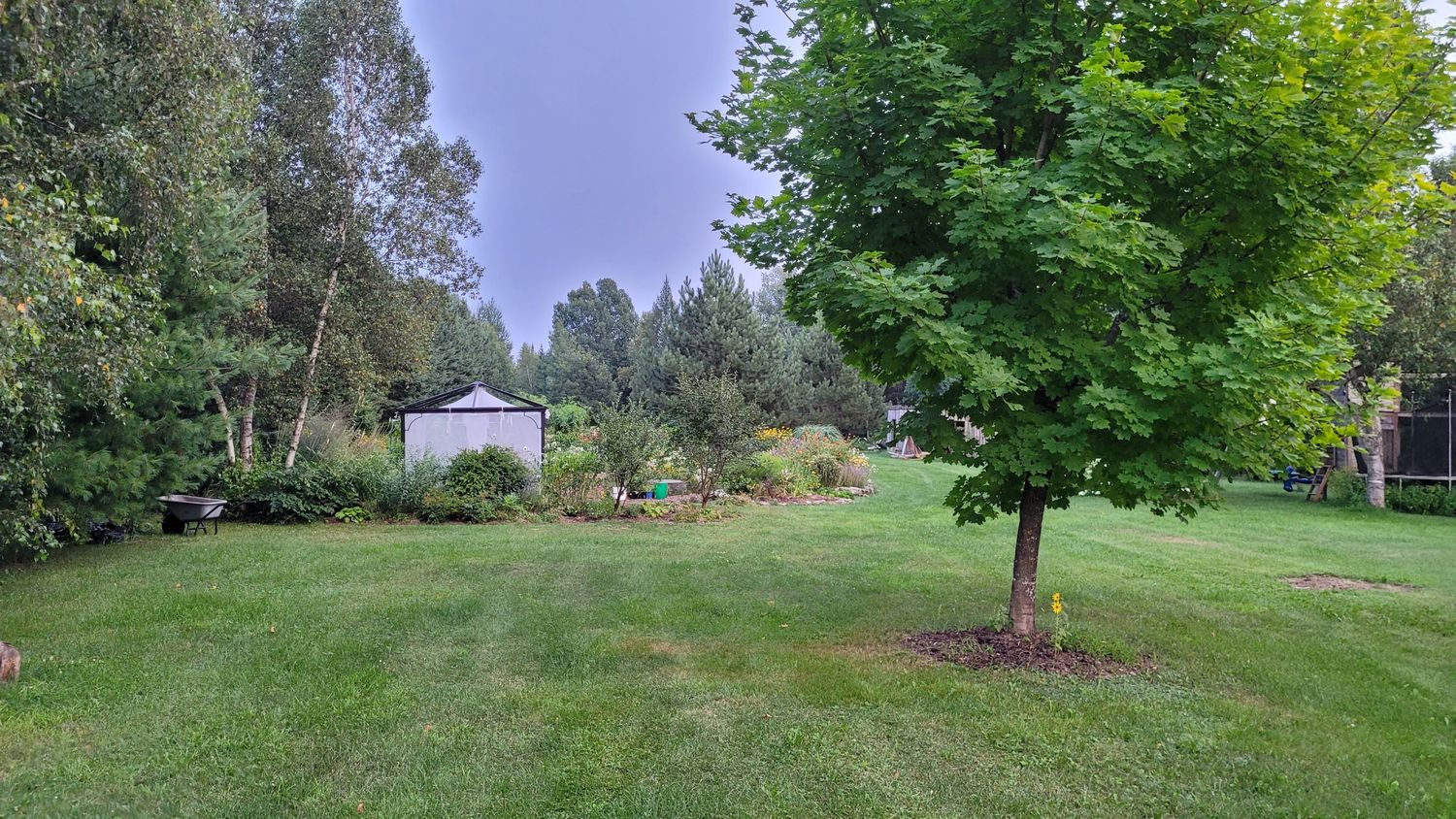 Backyard from a Landscaping project near Quebec City - Levis by AgroME-Consultant