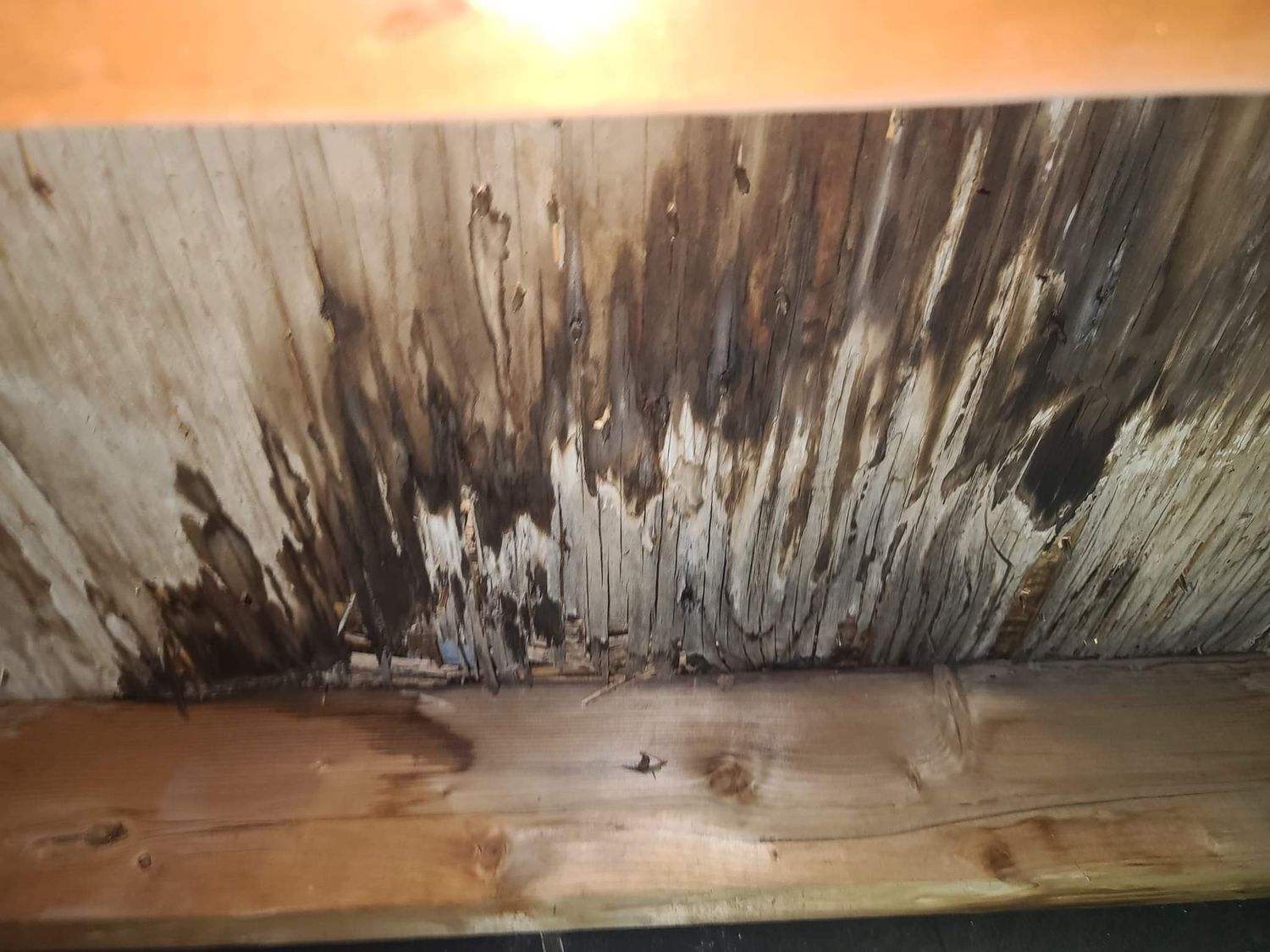 Travaux - Intérieur d'un projet de Inspections de bâtiment près de Montréal/Laval/Longueuil (Grand Montréal) de Allo Inspecteur