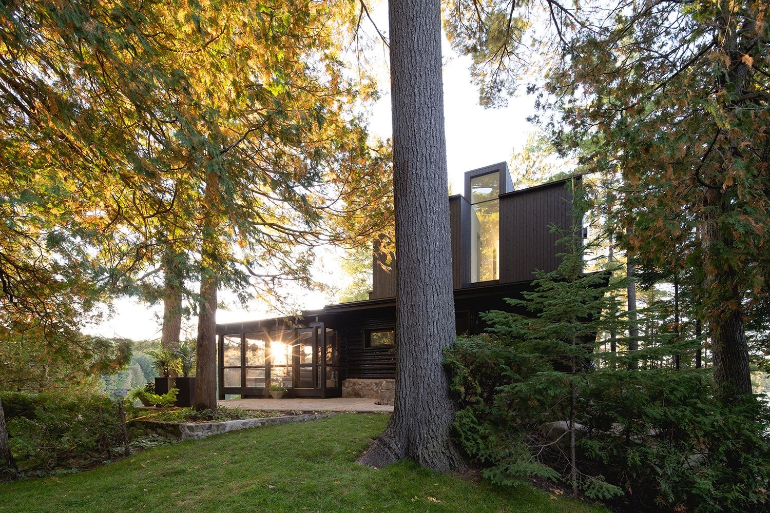 Patio trasero de un proyecto de tipo Ampliaciones del hogar cerca de Montreal (Gran Montreal) por Paul Bernier Architecte