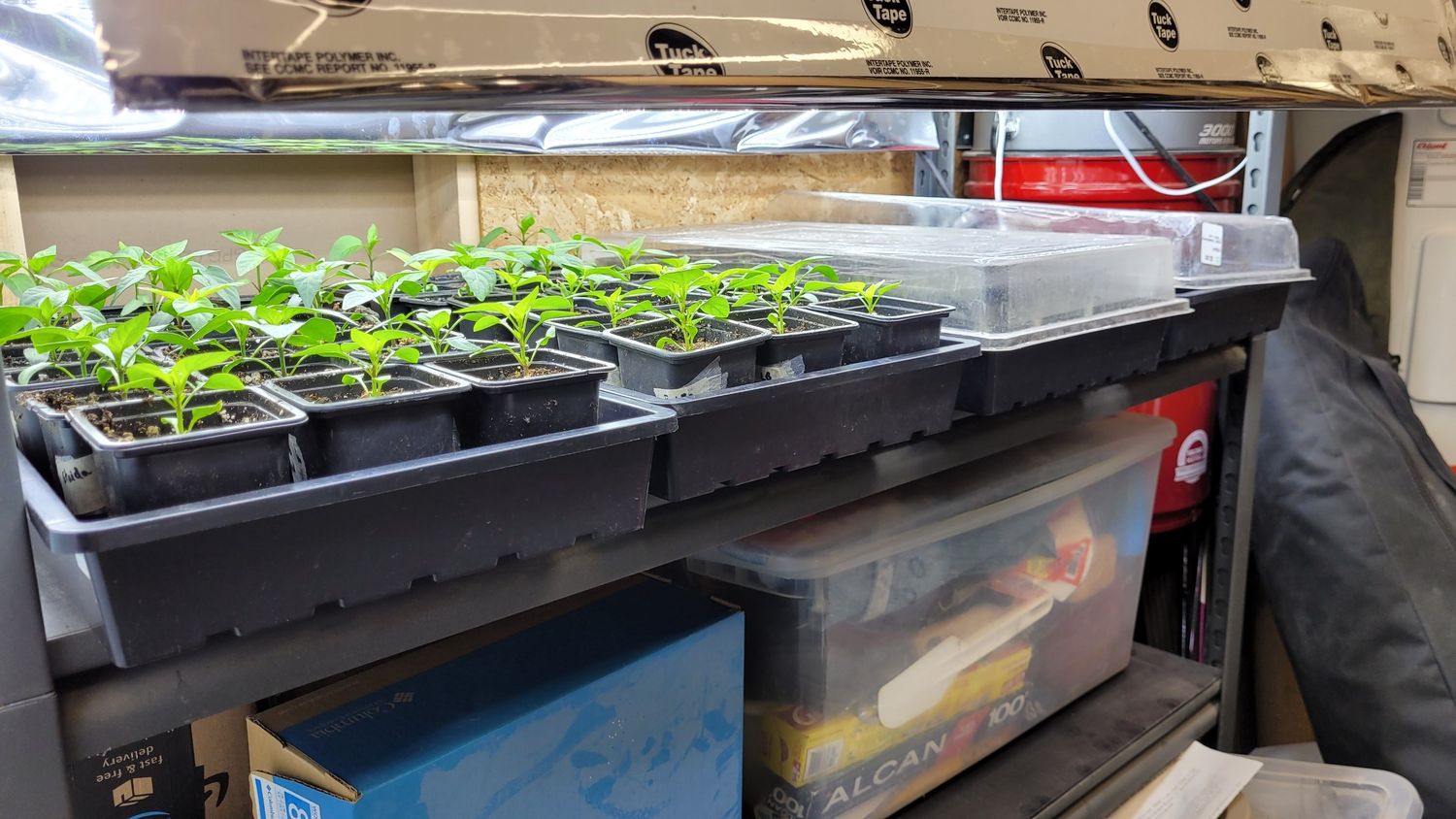 Land & Services from a Seedling project near Quebec City - Levis by AgroME-Consultant