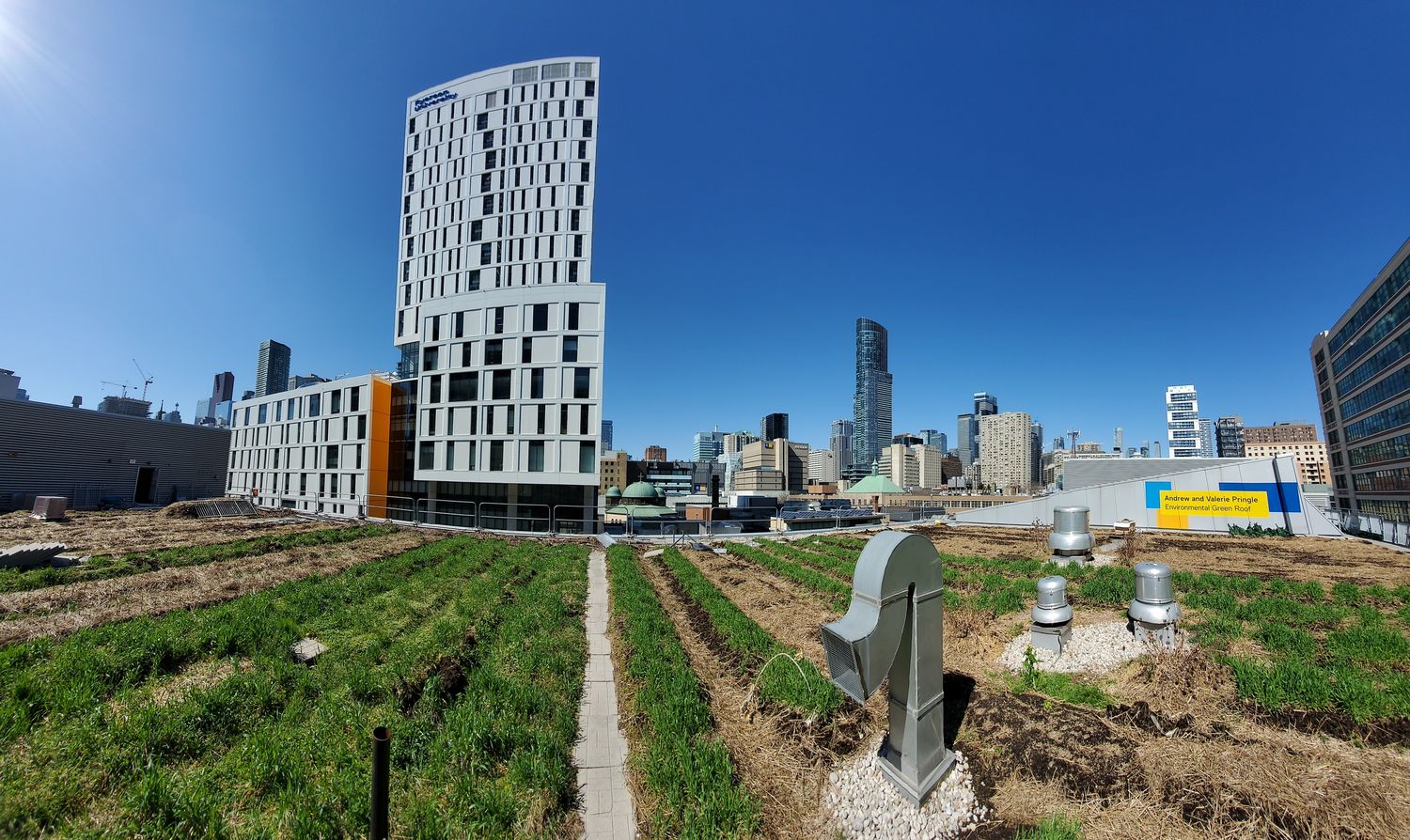 Rooftop Terrace from a Energy Audit project near Toronto (Greater Toronto) by DWB Consultants