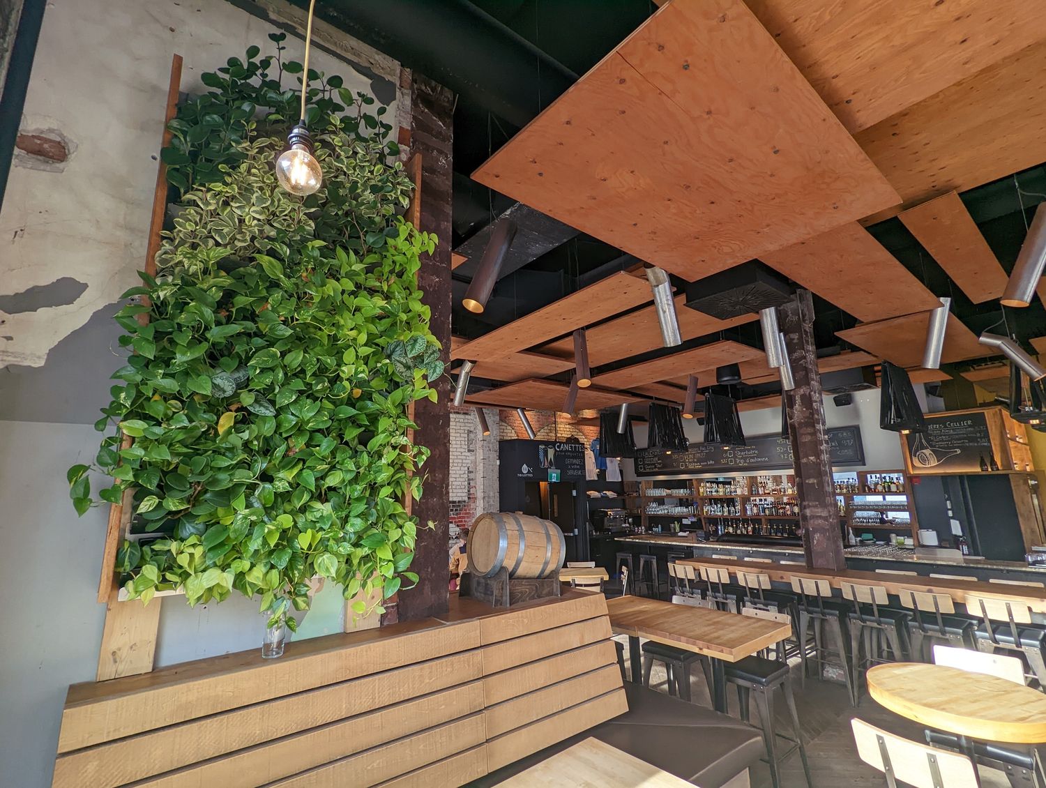 Salle à manger d'un projet de Murs végétaux près de Montréal/Laval/Longueuil (Grand Montréal) de La Ligne Verte : Toit vert inc.