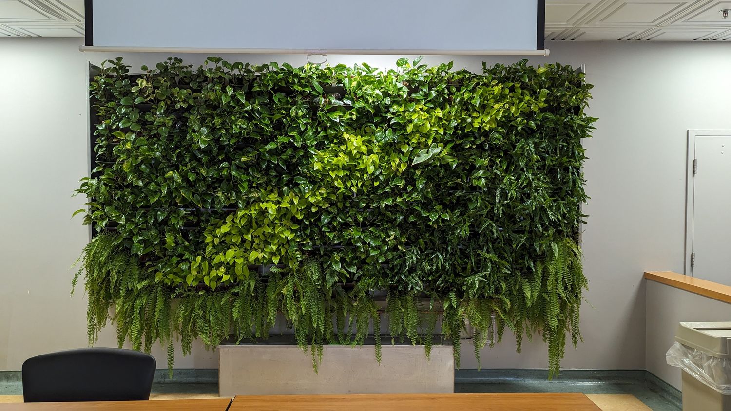 Oficina en casa de un proyecto de tipo Muros verdes cerca de Montreal (Gran Montreal) por La Ligne Verte : Toit vert inc.