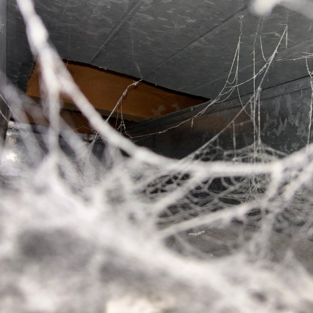  from a Ventilation ducts project near Hamilton - Burlington by Vacu-Man Furnace and Duct Cleaning