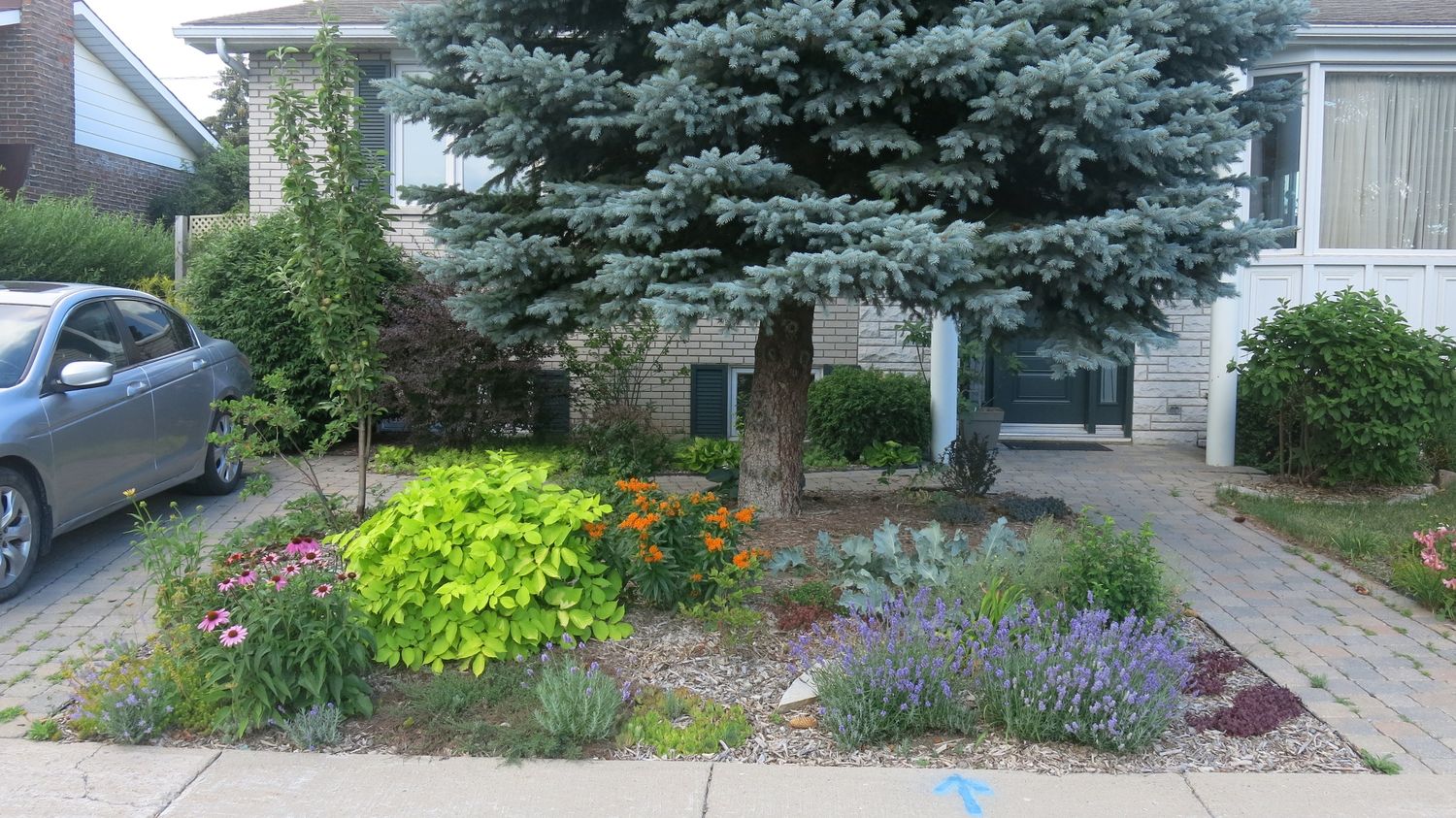 Cour avant d'un projet de Aménagement paysager près de Montréal/Laval/Longueuil (Grand Montréal) de Paysage gourmand