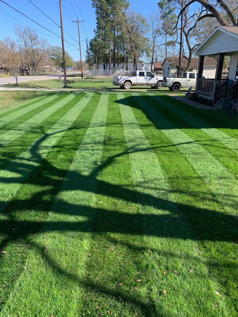  de un proyecto de tipo Pasto ecológico cerca de Houston por Evergreen Outdoor Services, LLC