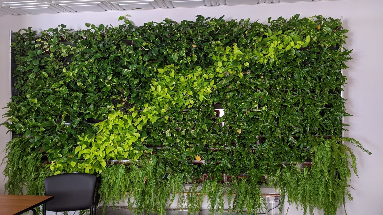 Oficina en casa de un proyecto de tipo Muros verdes cerca de Montreal (Gran Montreal) por La Ligne Verte : Toit vert inc.