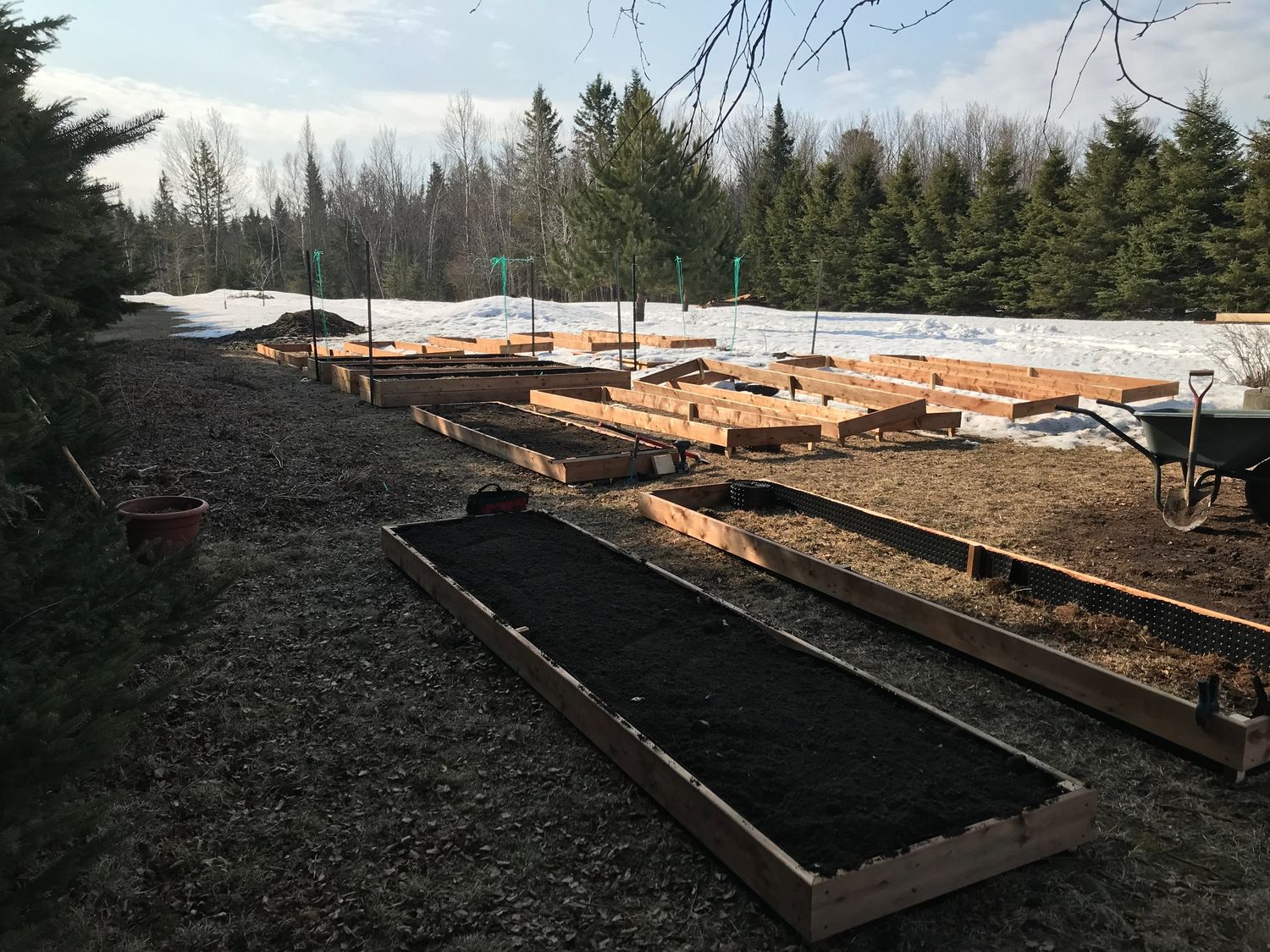 Garden from a Vegetable Garden project near Quebec City - Levis by AgroME-Consultant