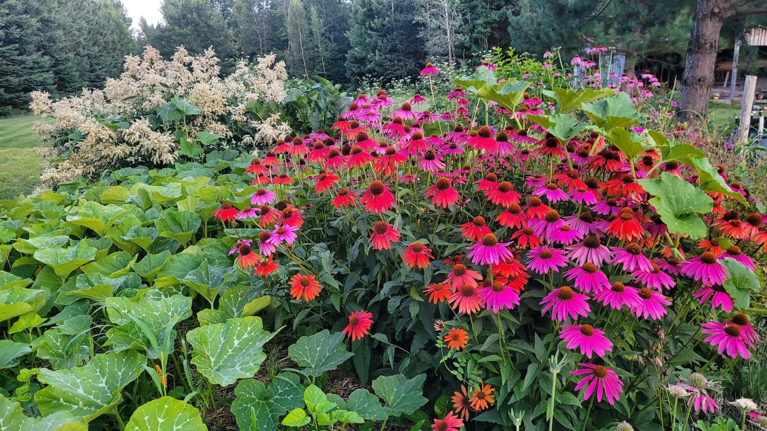 Flower bed from a Landscaping project near Quebec City - Levis by AgroME-Consultant