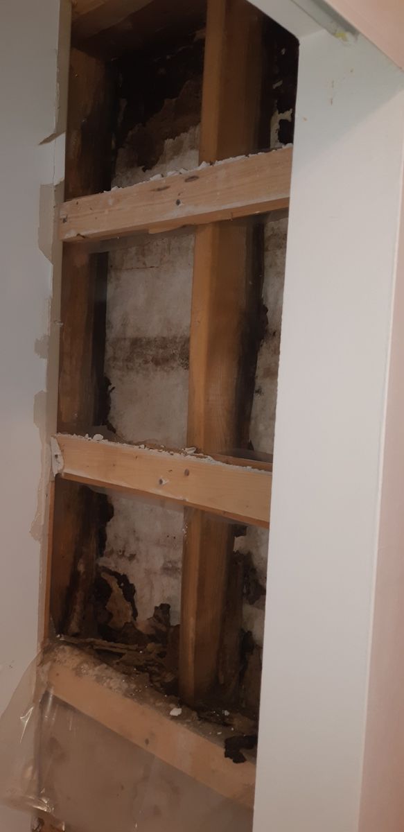 House Construction Interiors from a Building Structures project near Montreal (Greater Montreal) by Construction patco