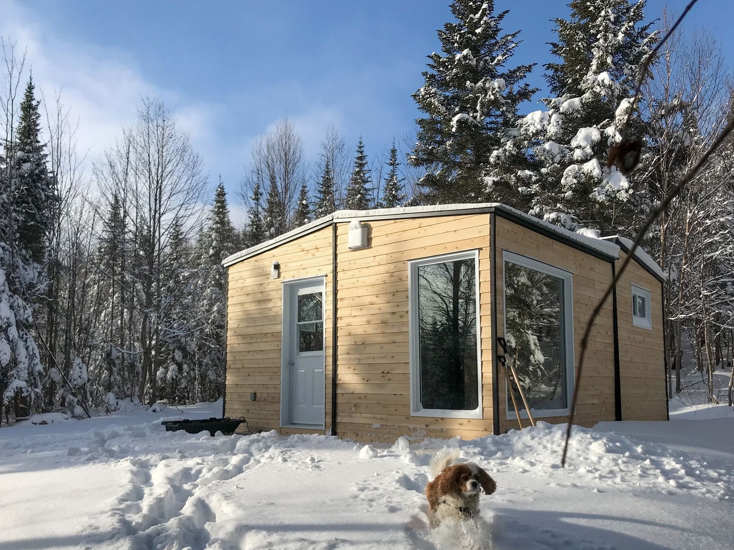 Patio trasero de un proyecto de tipo Mini casas cerca de Ciudad de Quebec - Lévis por CAMM Construction