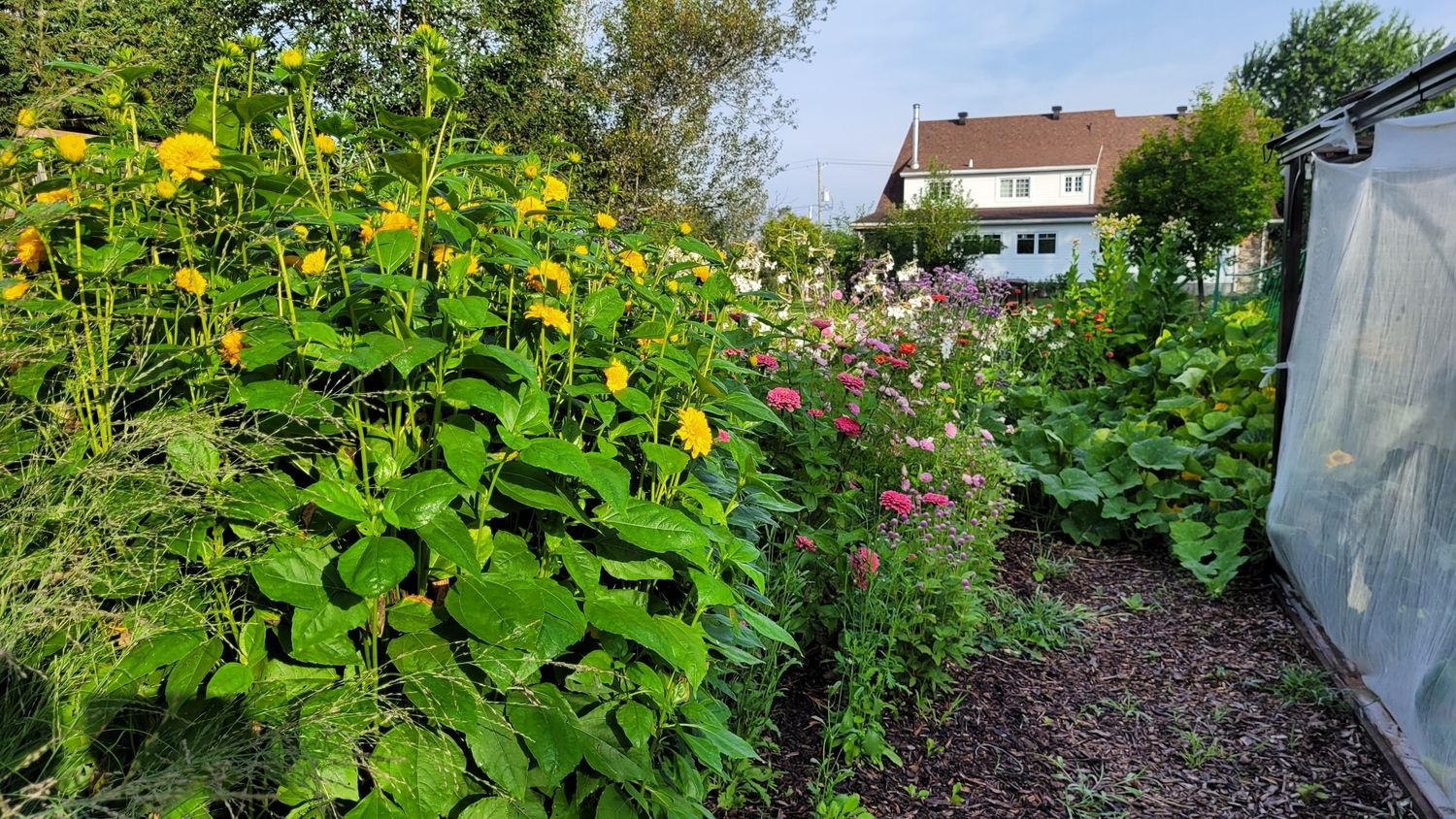 Garden from a Vegetable Garden project near Quebec City - Levis by AgroME-Consultant