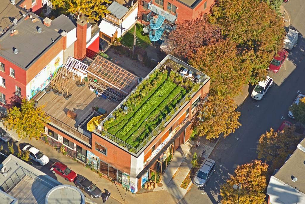 Vue aérienne d'un projet de Agriculture urbaine près de Montréal/Laval/Longueuil (Grand Montréal) de La Ligne Verte : Toit vert inc.