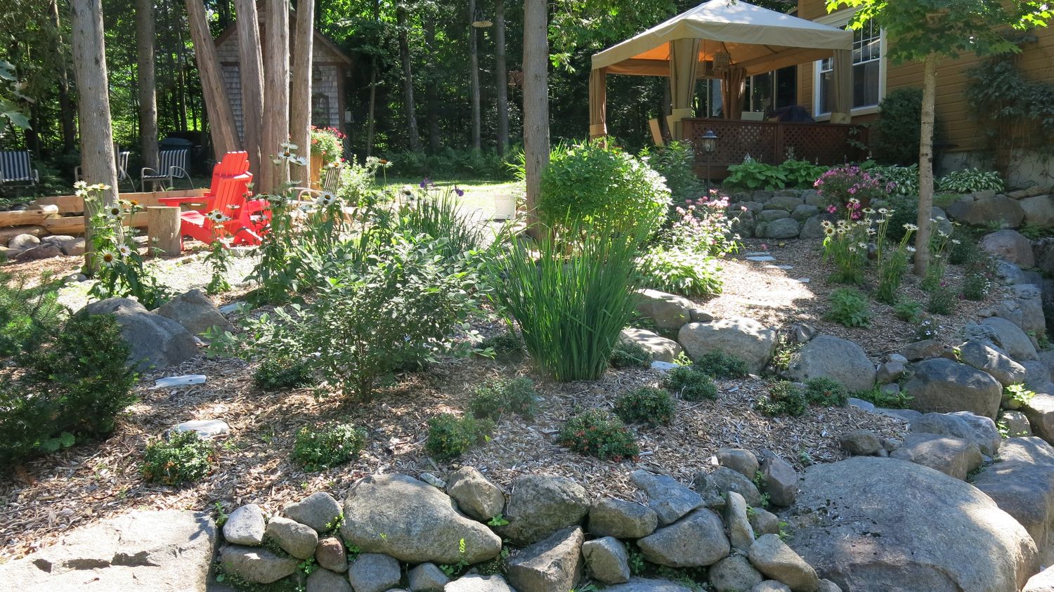 Backyard from a Exterior Plants & Horticulture project near Montreal (Greater Montreal) by Paysage gourmand