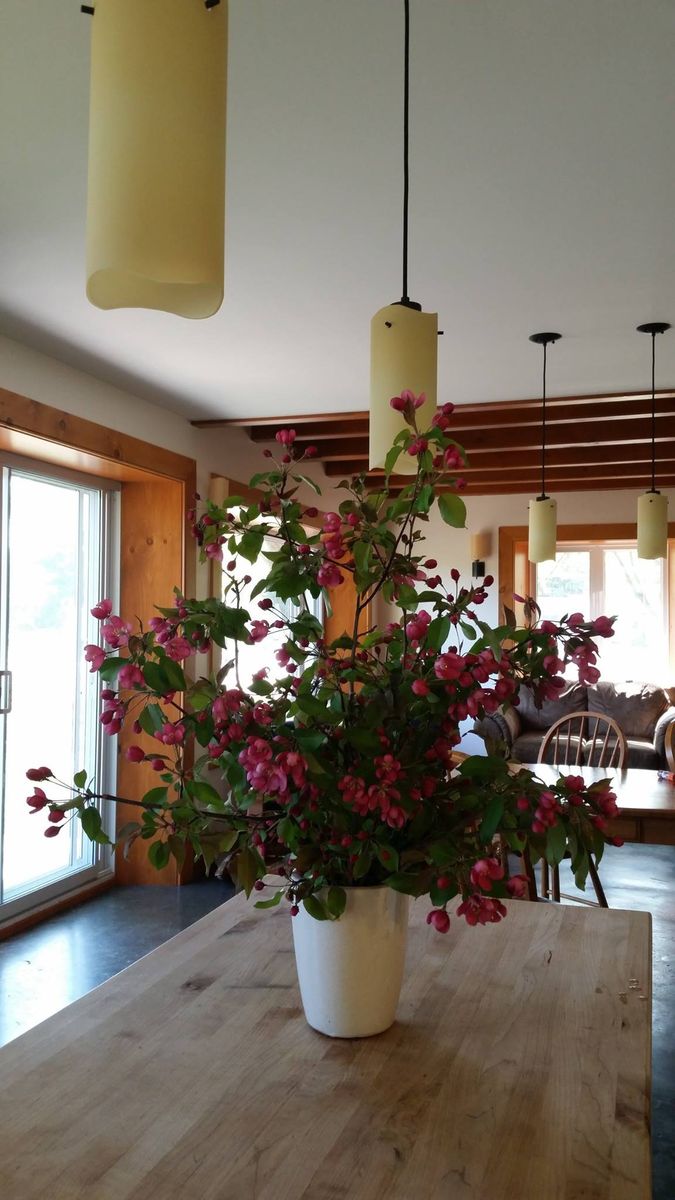 Dining Room from a Single family homes project near Drummondville (Centre-du-Québec) by McClure Construction