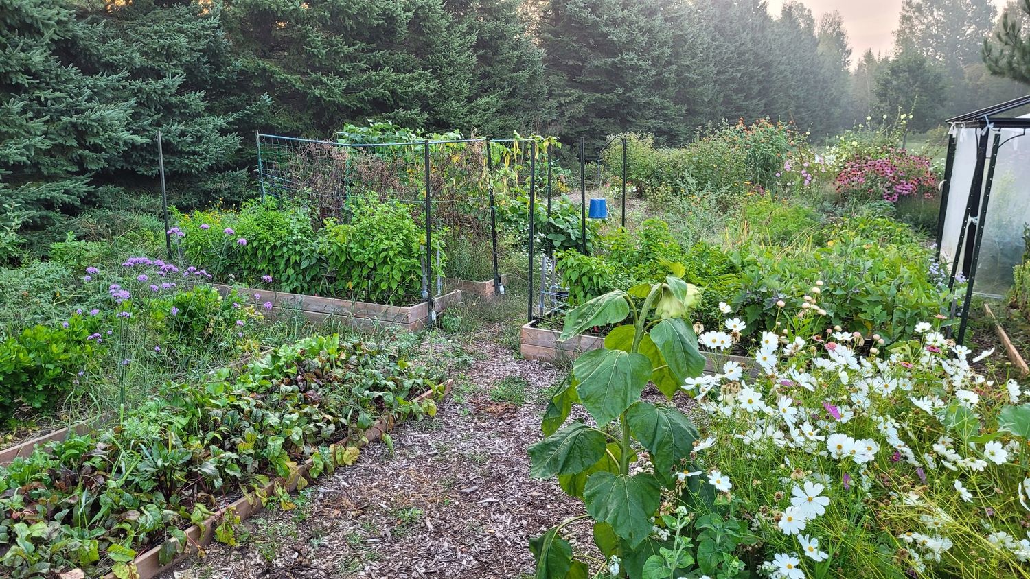 Garden from a Vegetable Garden project near Quebec City - Levis by AgroME-Consultant